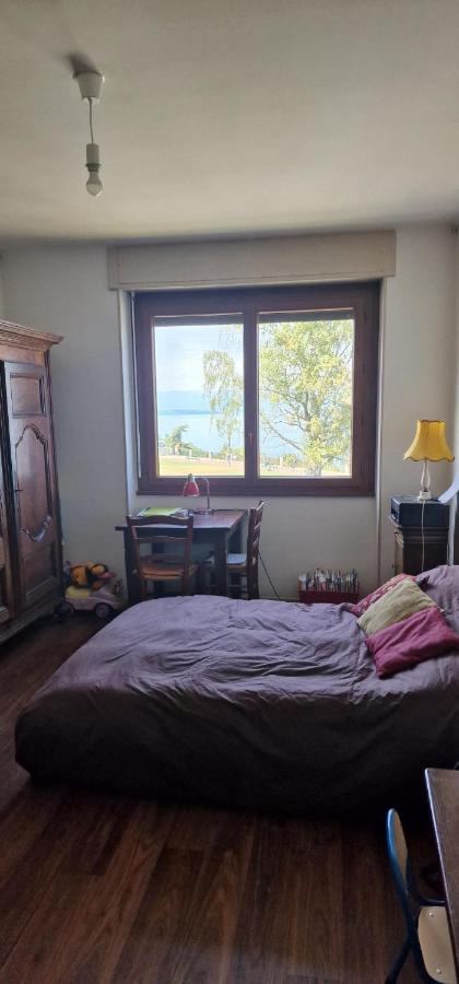 Le Bellevue 2 Apartment Thonon-les-Bains Bagian luar foto