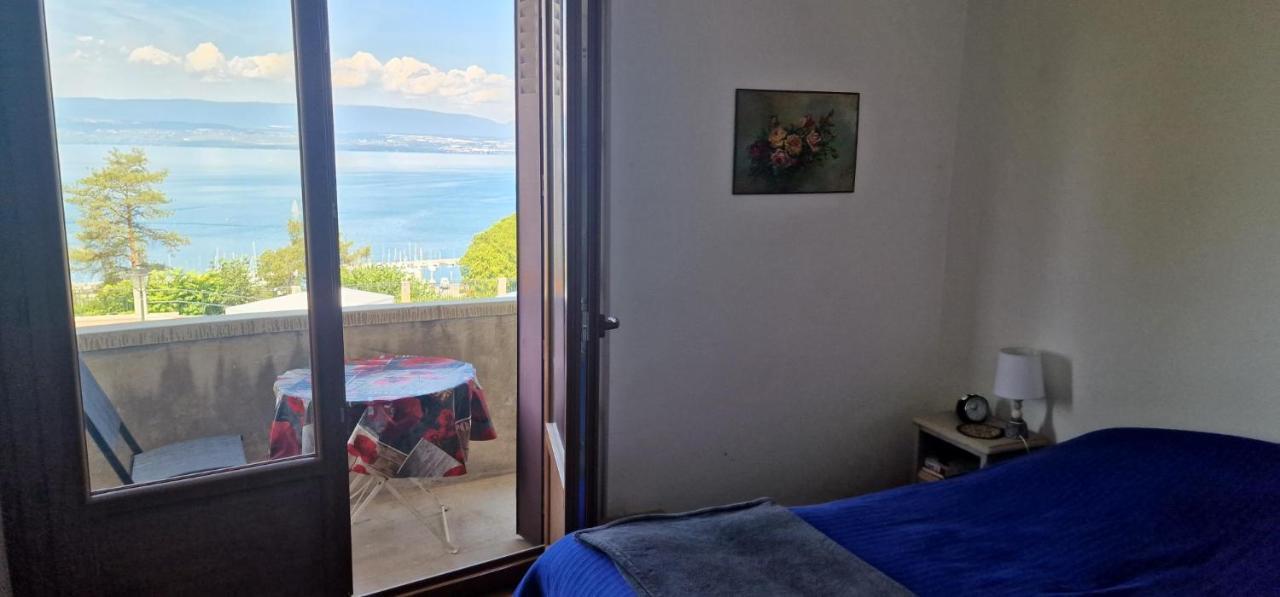 Le Bellevue 2 Apartment Thonon-les-Bains Bagian luar foto